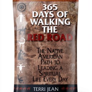 Adams Media Native American Spirituality Kindle Book-0